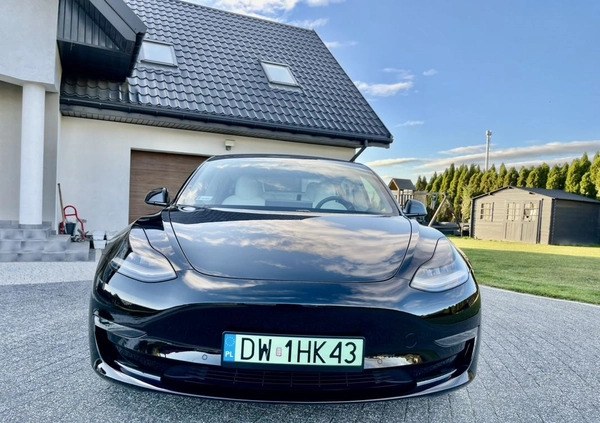 Tesla Model 3 cena 144894 przebieg: 65000, rok produkcji 2020 z Płock małe 301